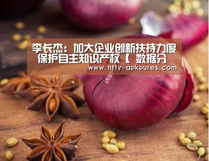 李长杰：加大企业创新扶持力度 保护自主知识产权【 数据分析】